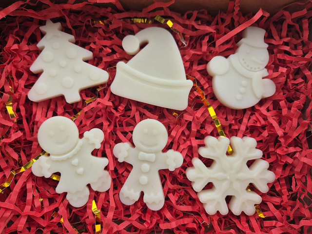 Collection Hiver - Coffret découverte 12 fondants 