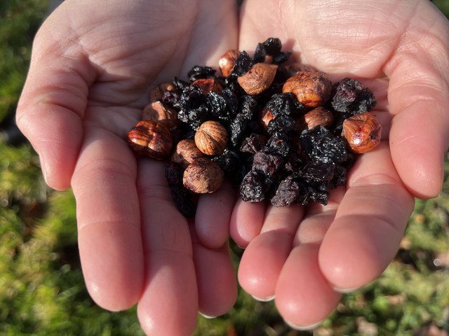 "Rando" mélange noisettes &amp; myrtilles - Sachet 50g