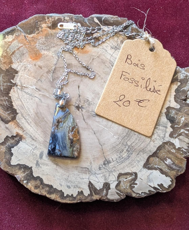  Pendentif Bois Fossilisé 