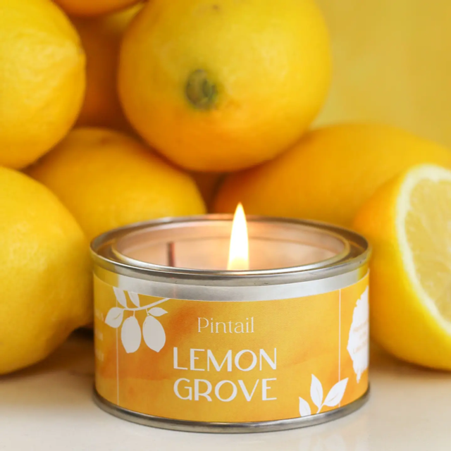 Pintail Candle - Lemon Grove