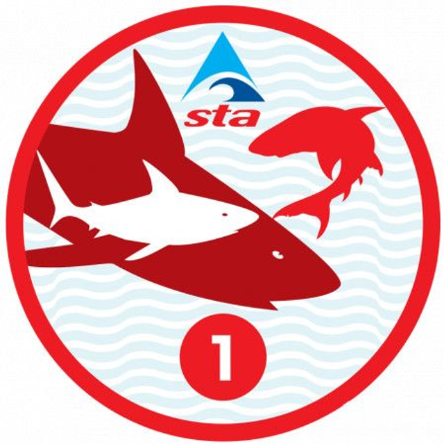 Shark 1 - Certificate with Badge