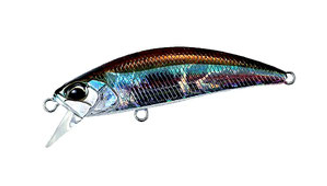 DUO Spearhead Ryuki 50 S Wakasagi