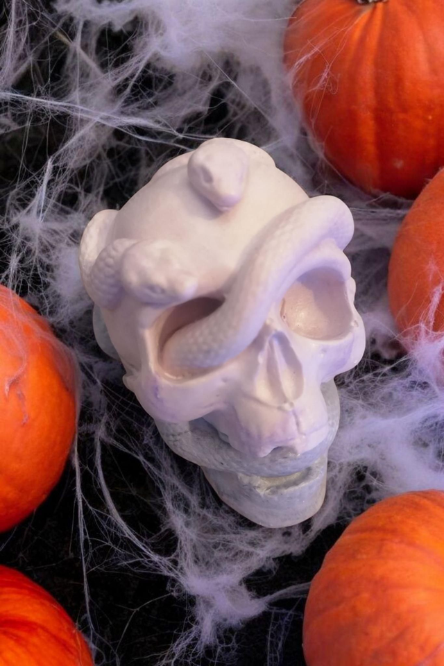 Crâne et serpent artisanale halloween