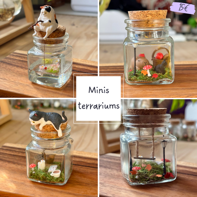 đ Mini terrarium verre - Ădition Ă©tĂ© - Kodama