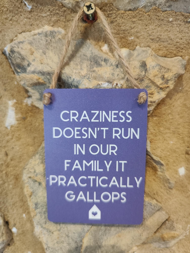 Craziness Hanging Sign 