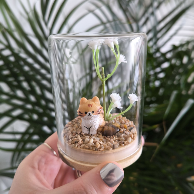 Ami protecteur - Chaton tigré roux et blanc (oeil de tigre)