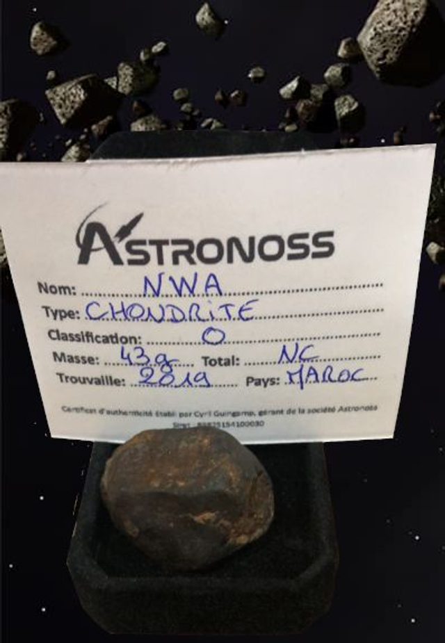 Météorite type Chondrite - 43Gr - Fournie avec son certificat 