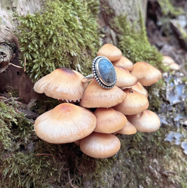 Bague labradorite
