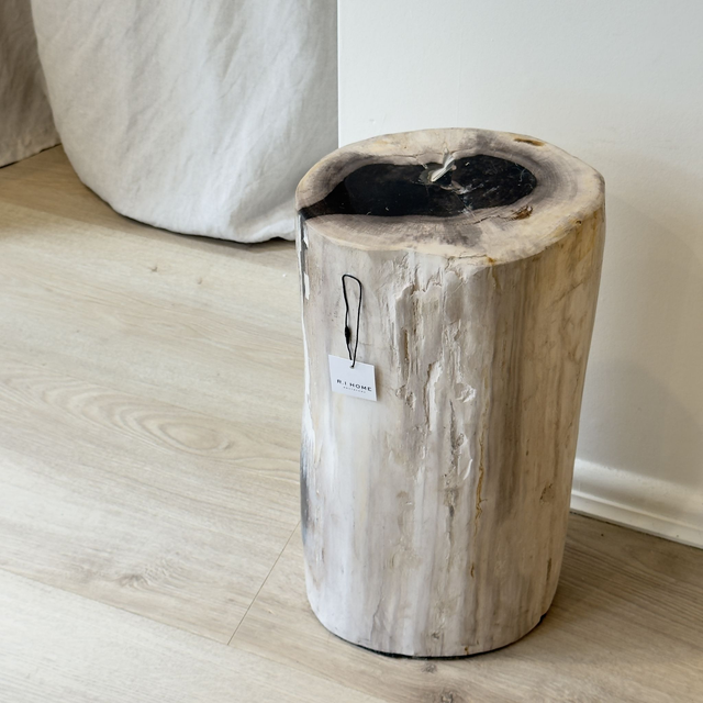 Petrified Wood Stool | 4 (Collection Only)