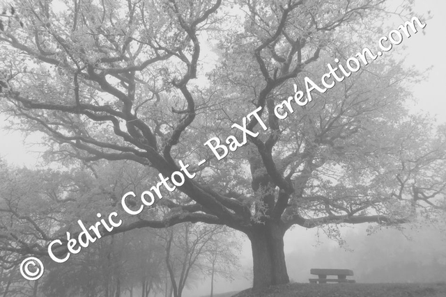 Impression sur alu dibond - Paysages et divers (ref 4455)