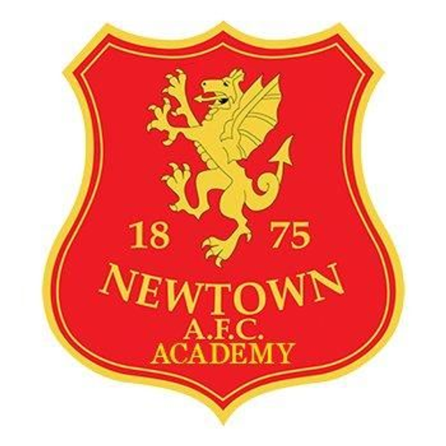 Newtown AFC Club Badge Car Air Freshener 