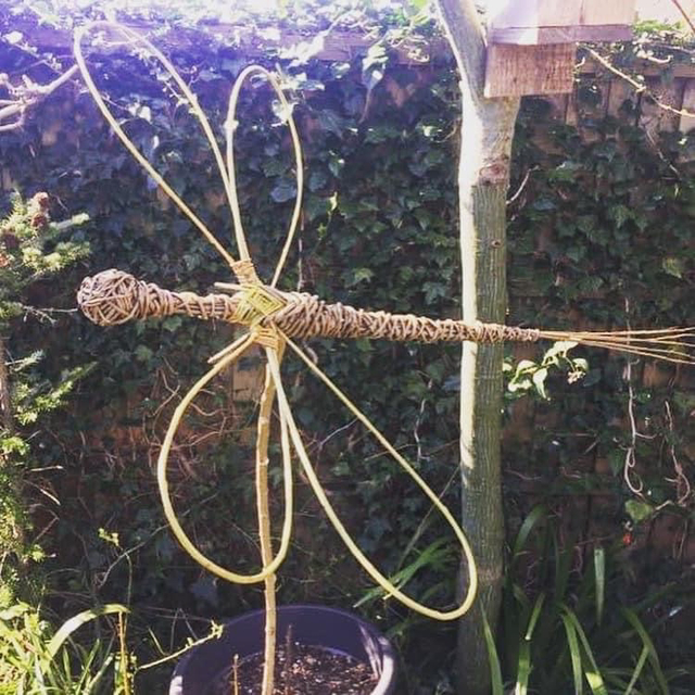 Giant Dragonfly Class Saturday 1st August 2026 10-12