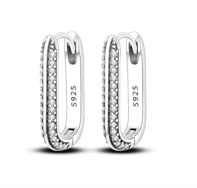 Stunning Sterling Silver Hoops Earrings.