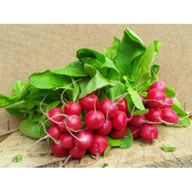 RAVANELLI FRESCHI A MAZZI