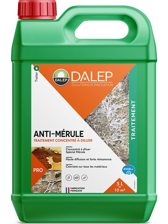 DALEP Anti Mérule 5 L