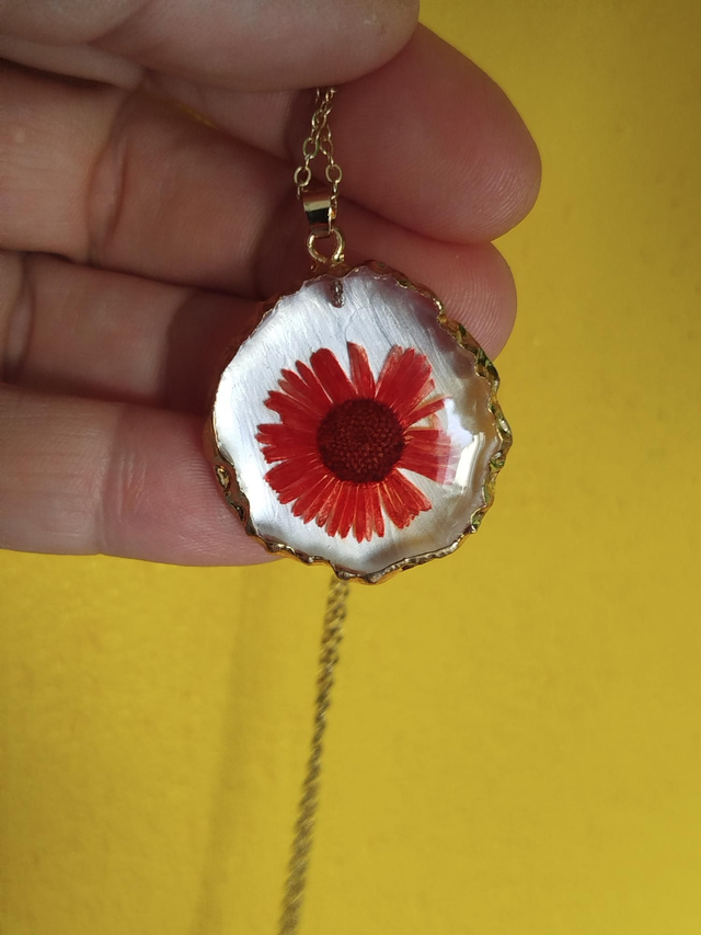 Lumière Nacrée et Fleur d'automne 
