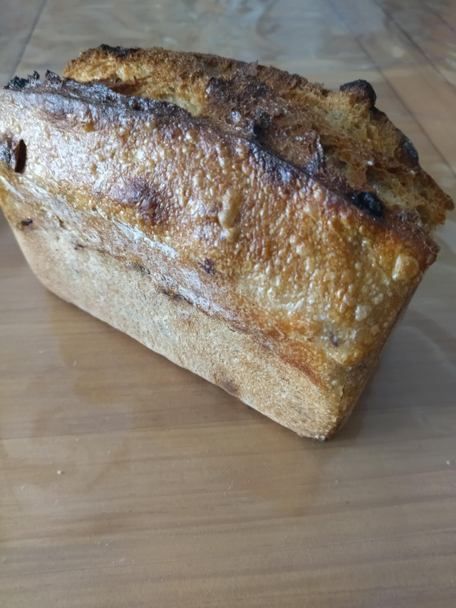 Campagne raisin noisette