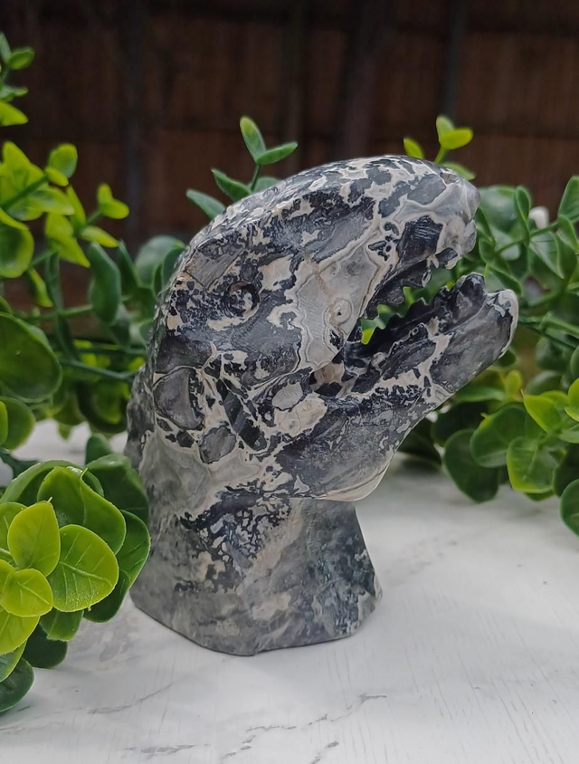 Picasso Jasper  T-Rex Dinosaur Crystal | Natural Stone Carved and Polished Tyrannosaurus Rex Head