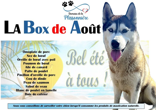 A - La Box de Août