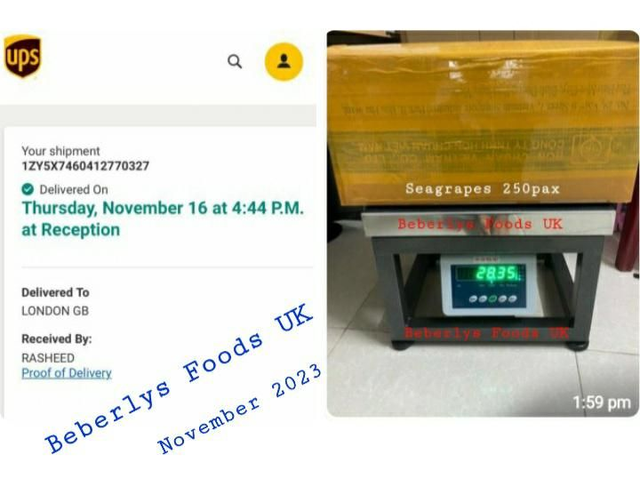 Wholesale Lato: London Shop ( November 2023)