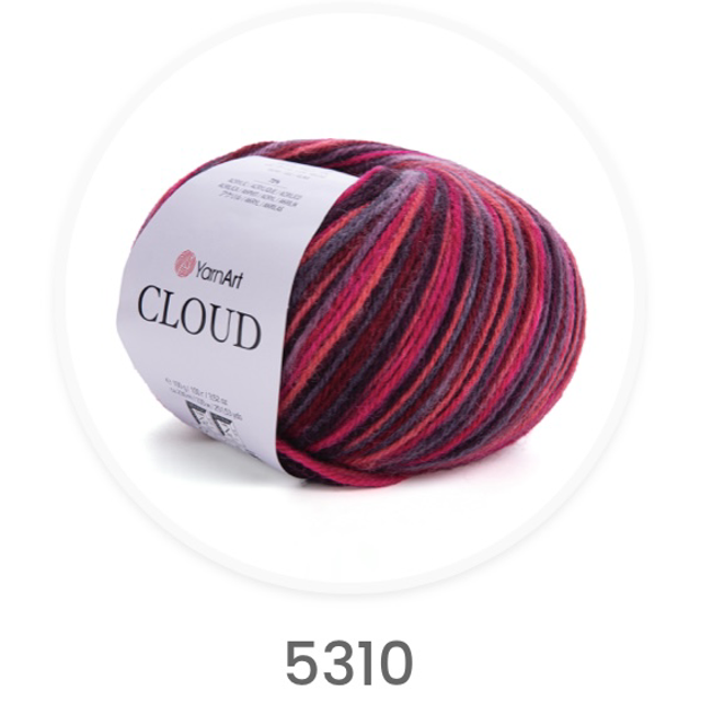 Cloud 5310