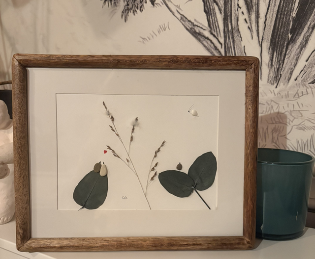 Joli papillon