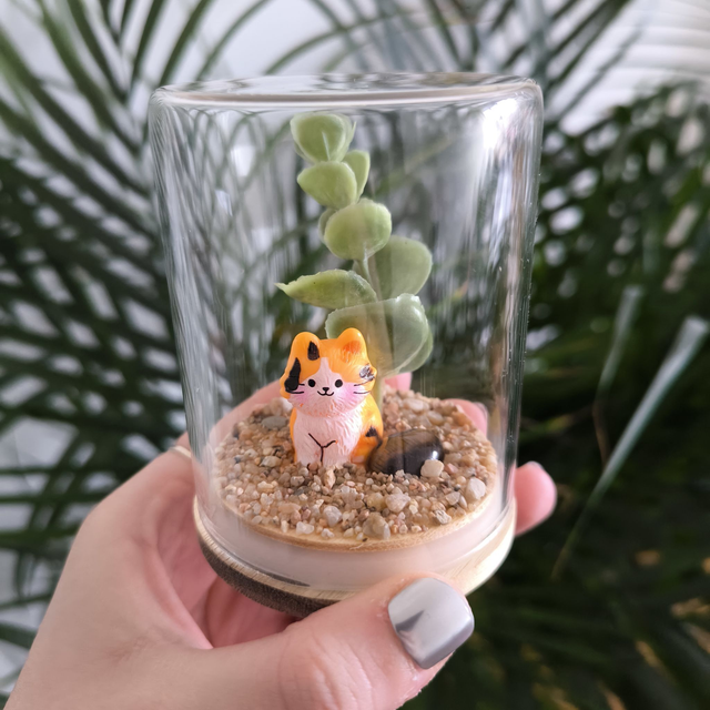 Ami protecteur - Chaton tricolore (oeil de tigre)