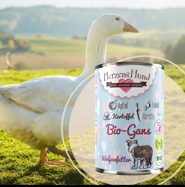 Welpe Bio-Gans
