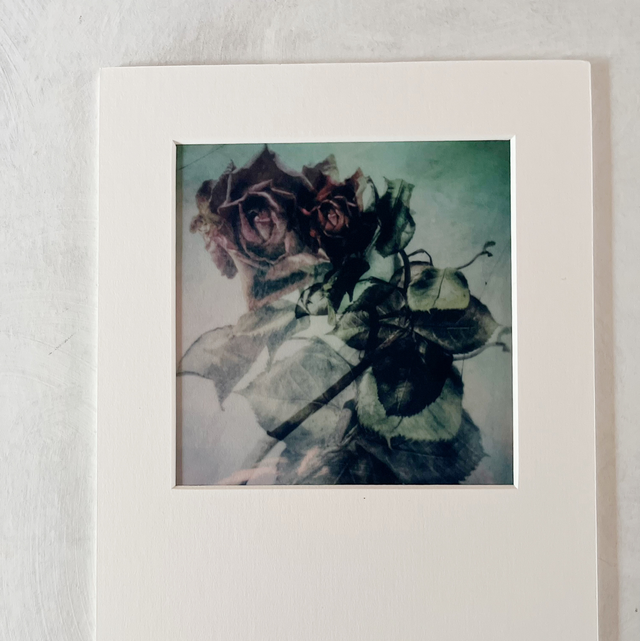 Les fleurs du silence 