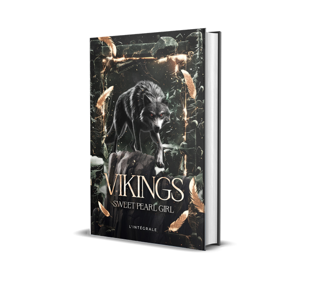 Vikings - L'intégrale