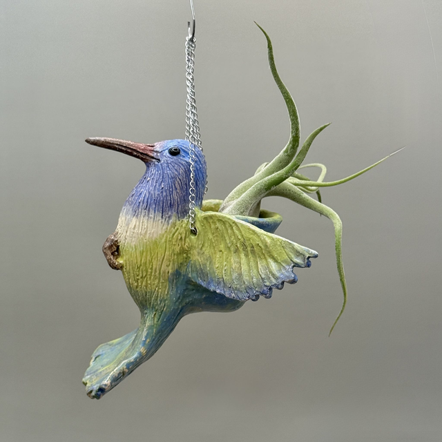 Custom Made - Flying bird air plant basket