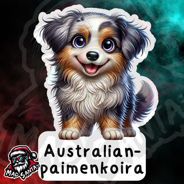 Australianpaimenkoira