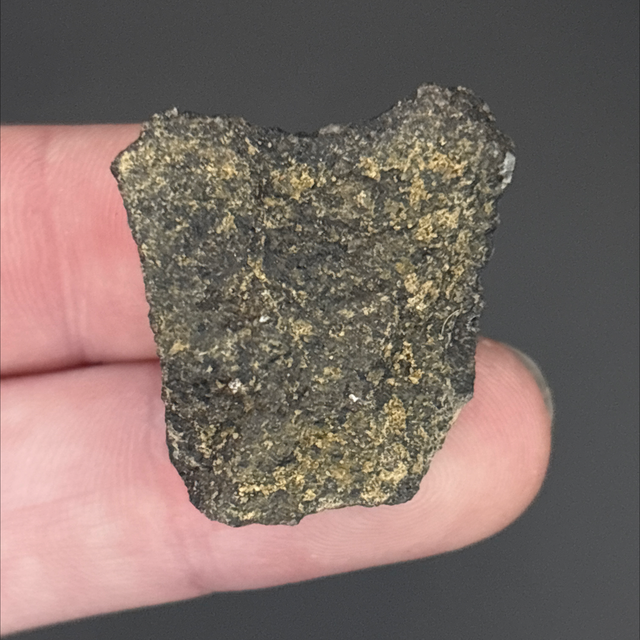 Brachylophosaurus Bone Fragment 