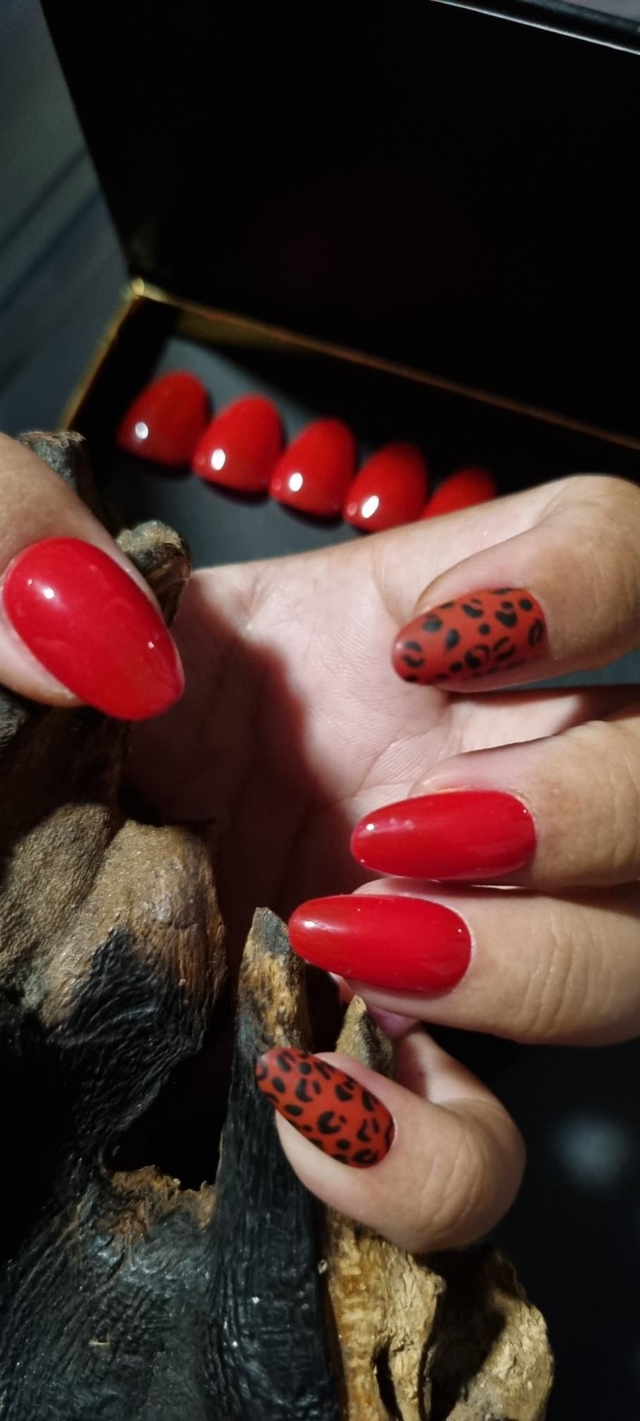 Classic réd léopard little rond S 