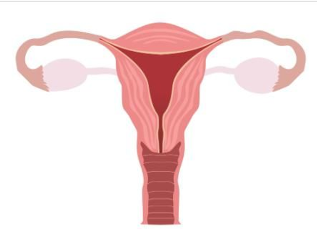  Consultation MINCIR EN DOUCEUR ET BIEN-ÊTRE MENSTRUEL 