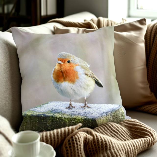 “Frosty Toes” Cushion 