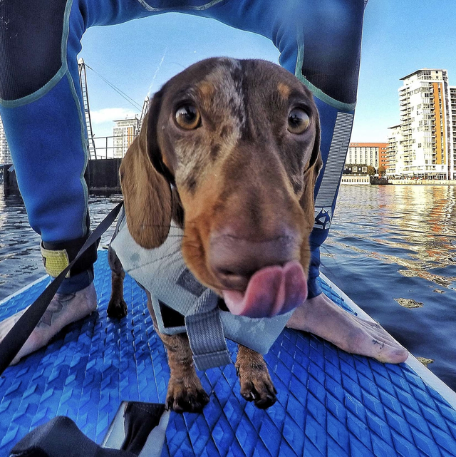 *New* Half Day Offer