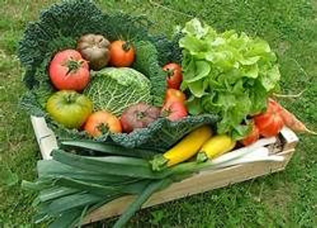 panier bio  abonnement 8 semaines
