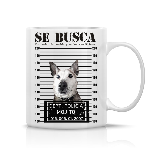 Taza ficha policial