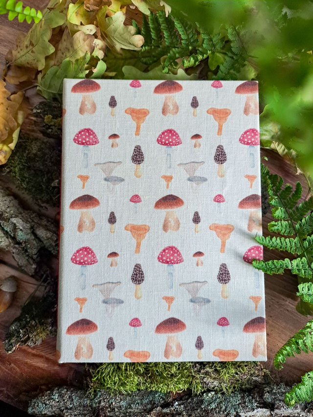 Carnet de recettes Cueillette de champignons