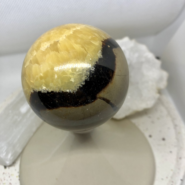 Septaria A + sphère Madagascar 