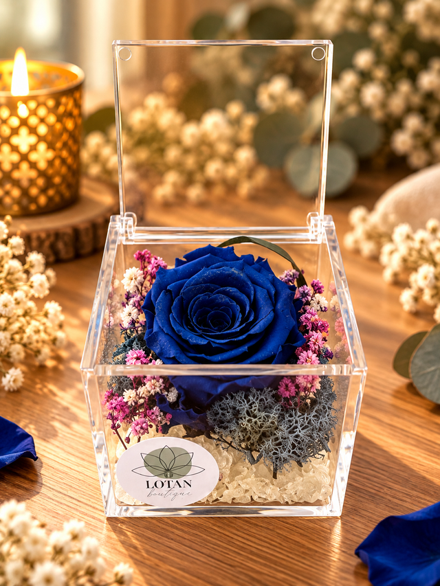 Rosa stabilizzata in cubo