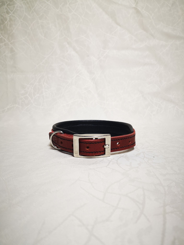 Collier pour chien &quot;Écarlate&quot;