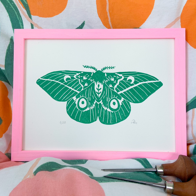 Papillon de nuit masqué