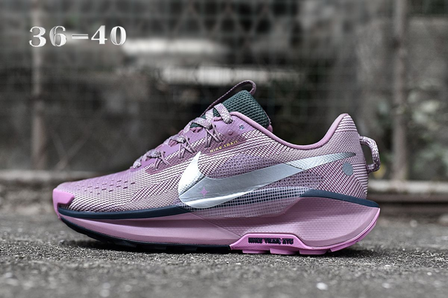 Nike Pegasus Trail 5 (Vendu sans la boîte )