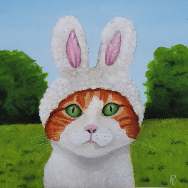 FUNNY KITTY