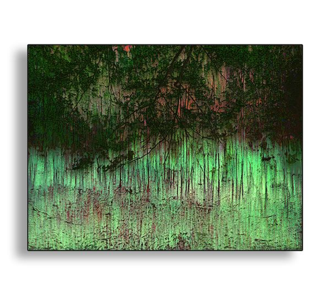 02 Nature - Light Underneath, 2019.