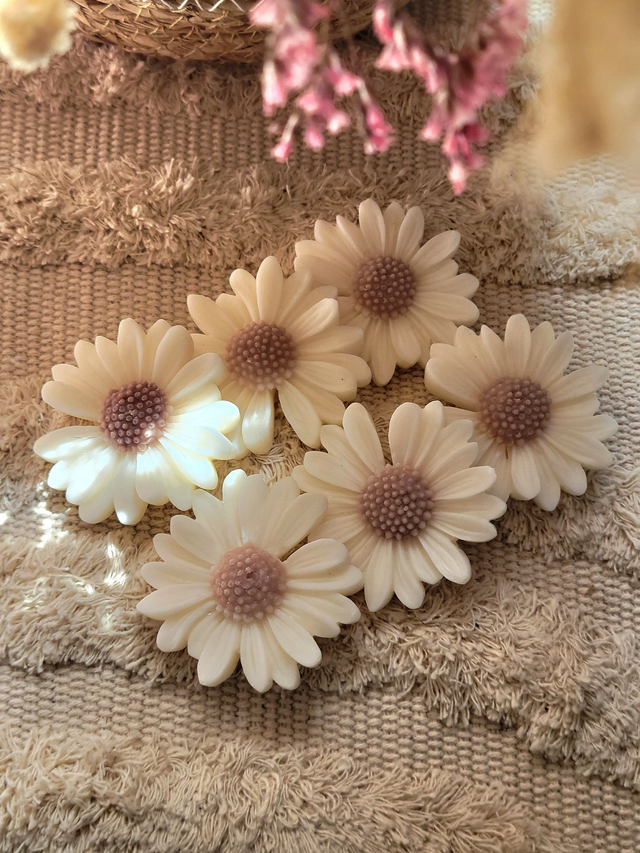 Coffret de 6 fondants | Marguerite