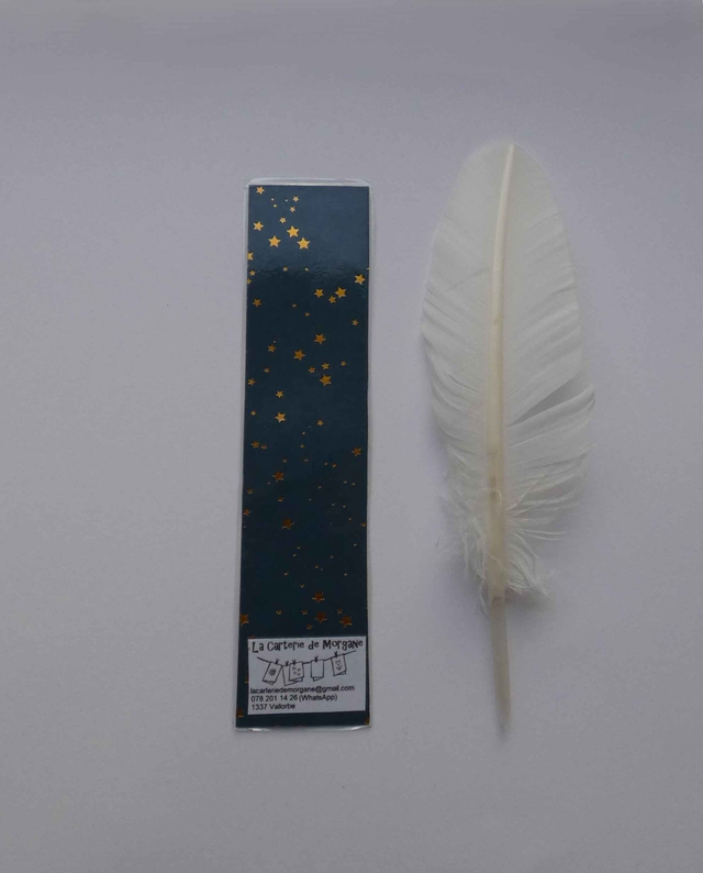 Le marque-page aux étoiles bleues