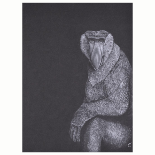 Nasique - œuvre unique et originale